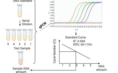 New Insect Nucleic Acid Residue Assay Kits for Enhanced Quality Control Insect Nucleic Acid Residue Assay Kits