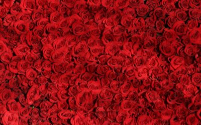 Valentine's Week 2025 List