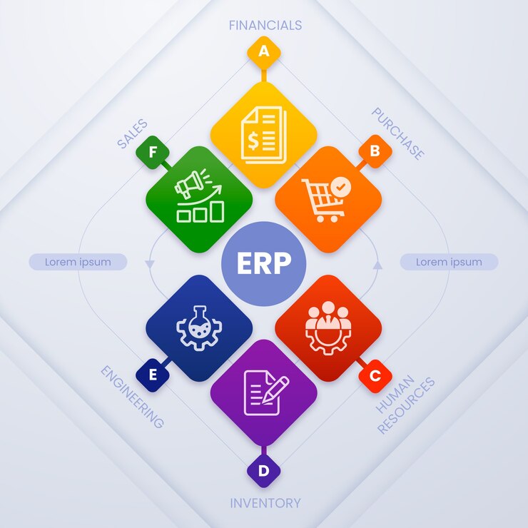 Digital Transformation Unleashed: ERP Systems Powering UAE's Business Future